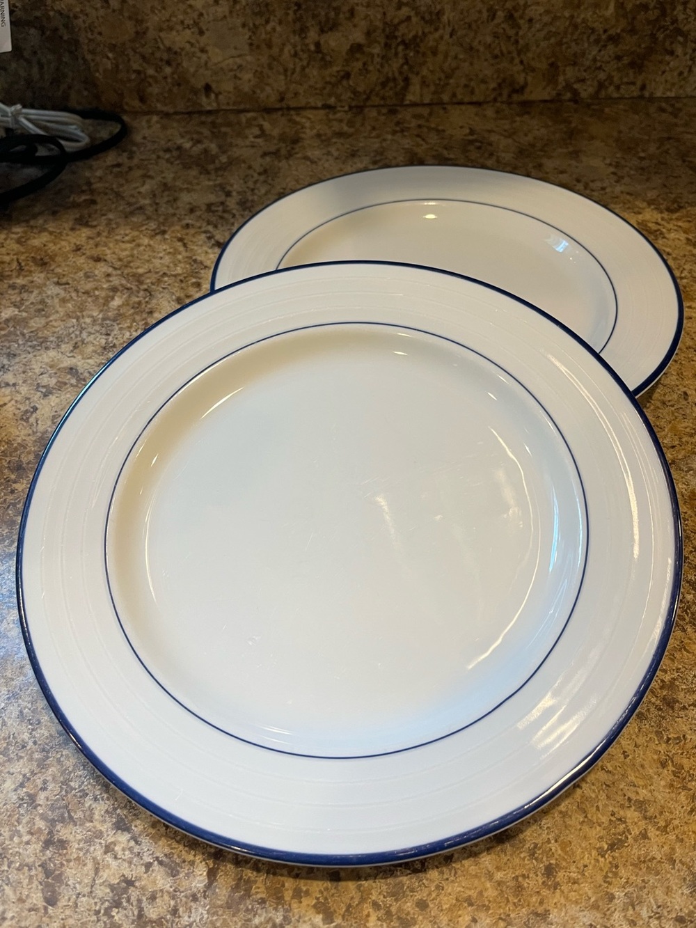 Crate&Barrel Roulette Blue Band Dinner Plates Set of 2